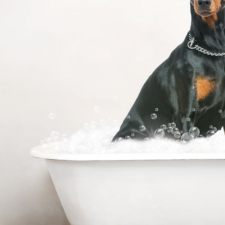 Doberman Pinscher in Rustic Bath Style