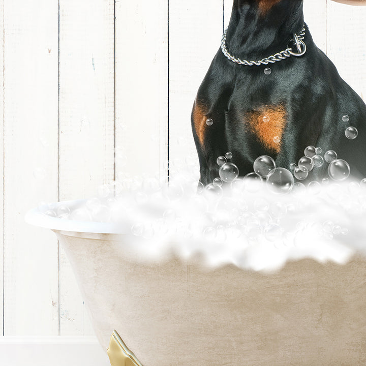 Doberman Pinscher in Farmhouse Hot Bath