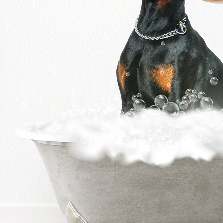 Doberman Pinscher Scrub A-Dub-Dub in Simple Gray Bath