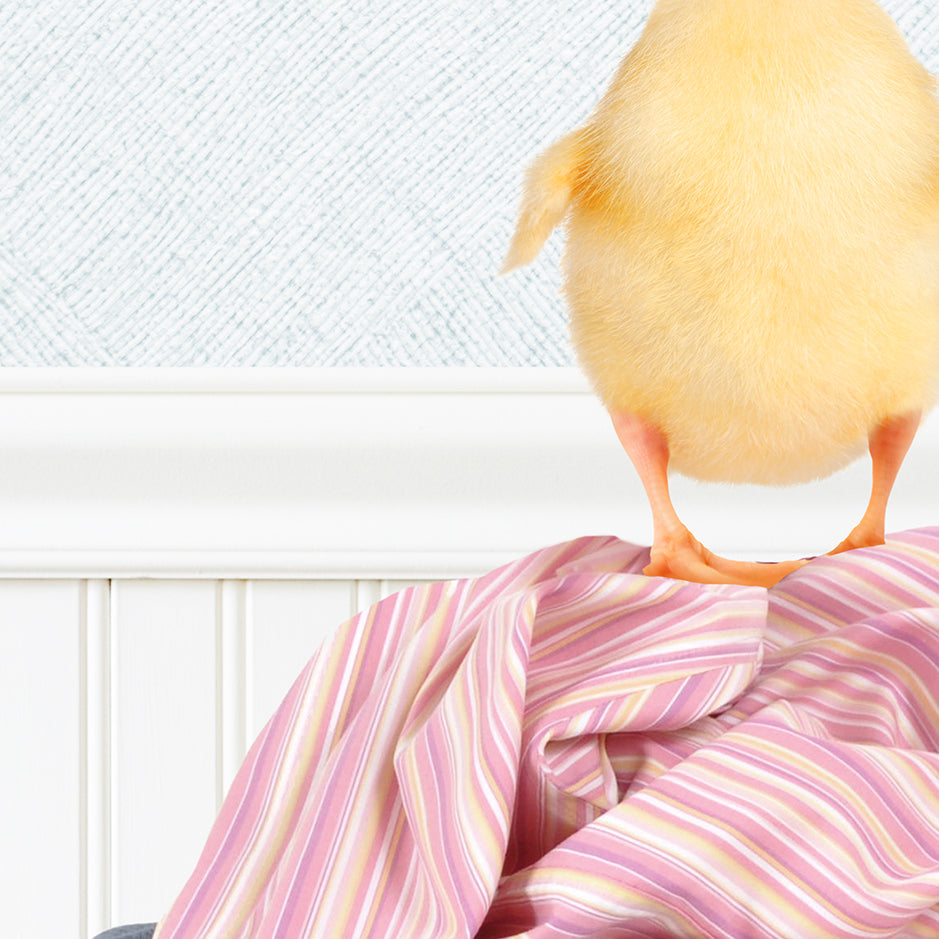 Yellow Ducky on Clothes Pile - Cottage Blue Wall