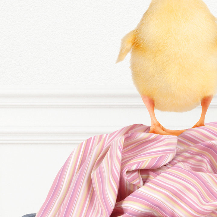 Yellow Ducky on Clothes Pile - Simple White Wall