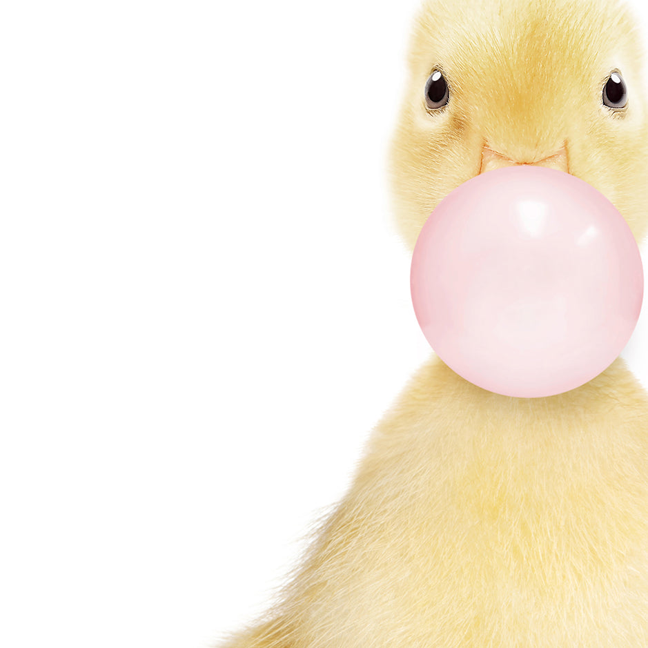 Baby Yellow Ducky Blowing Pink Bubble Gum