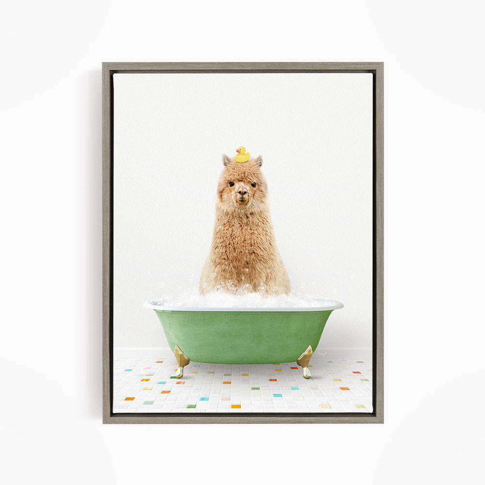 A fluffy brown dog sitting in a green bathtub filled with bubbles, with a yellow rubber duck perched on its head.
