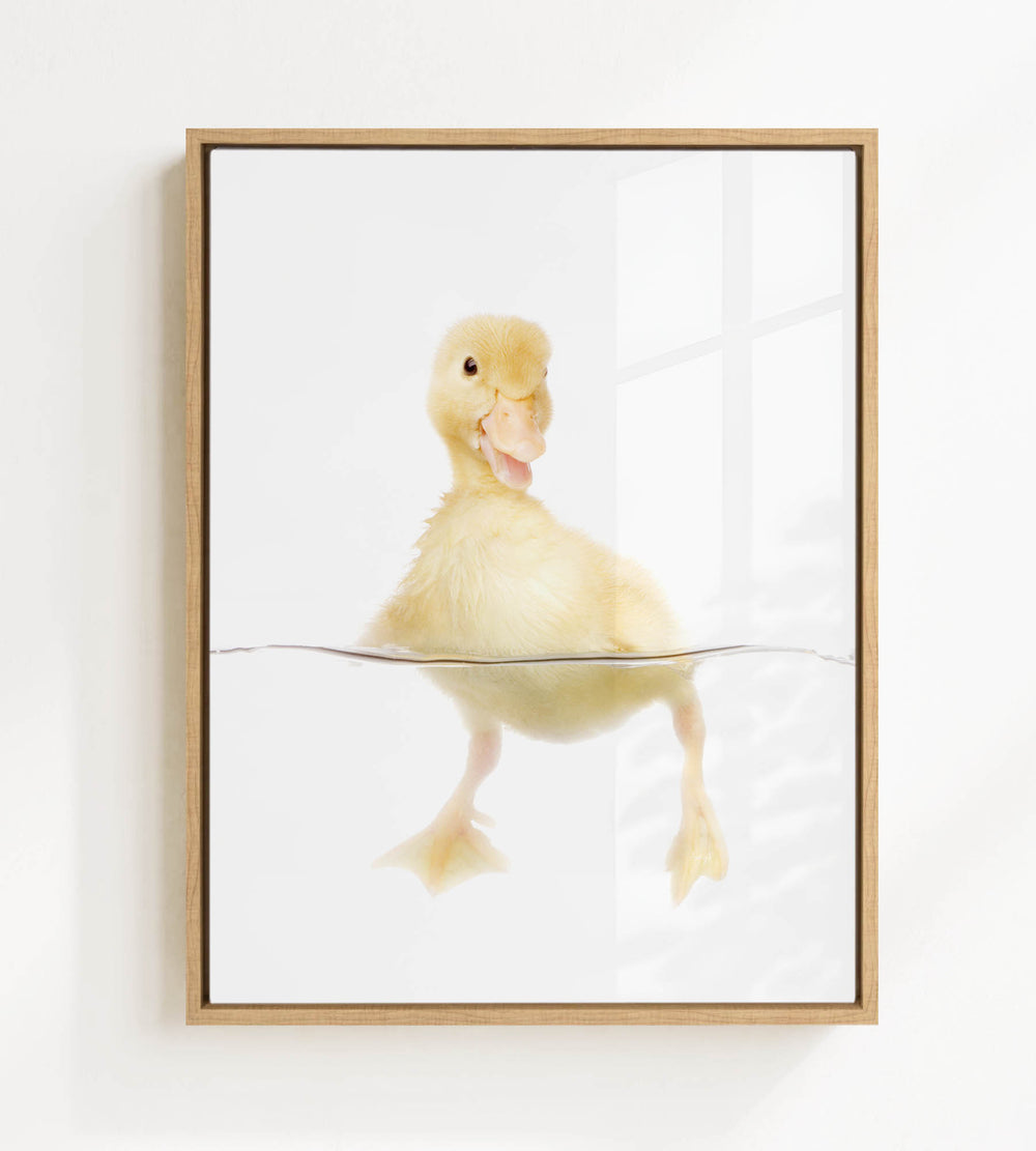 A cute yellow duckling swimming in a body of water, with a wooden frame around the picture.