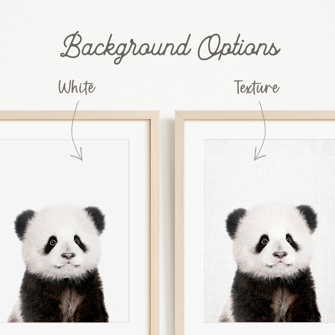 a panda bear with a white background, and there are two different backgrounds available for the panda bear.