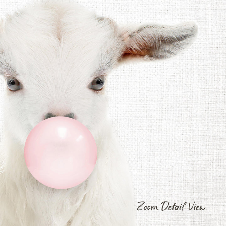 A white goat is blowing a pink bubble with its mouth, creating a playful and whimsical scene.