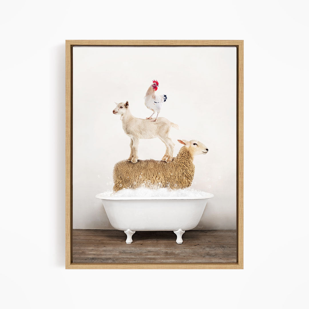 A framed image depicting a sheep standing on a goat's back, with a rooster perched on top of the goat, all in a white bathtub.