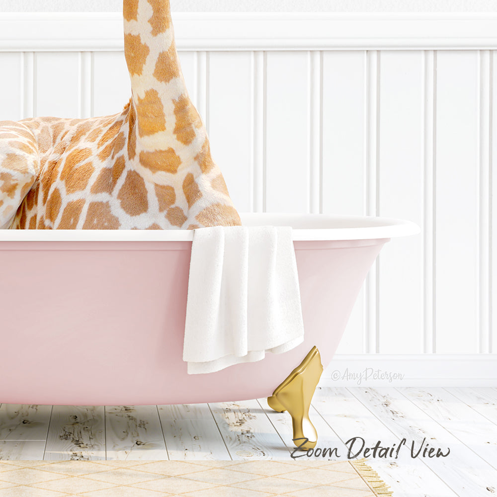 A giraffe is sitting in a pink bathtub, with a white towel and gold bathtub stopper.