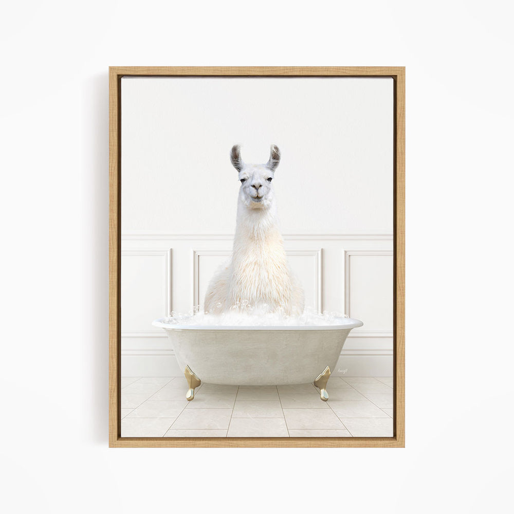 A white llama sitting in a white bathtub filled with bubbles.