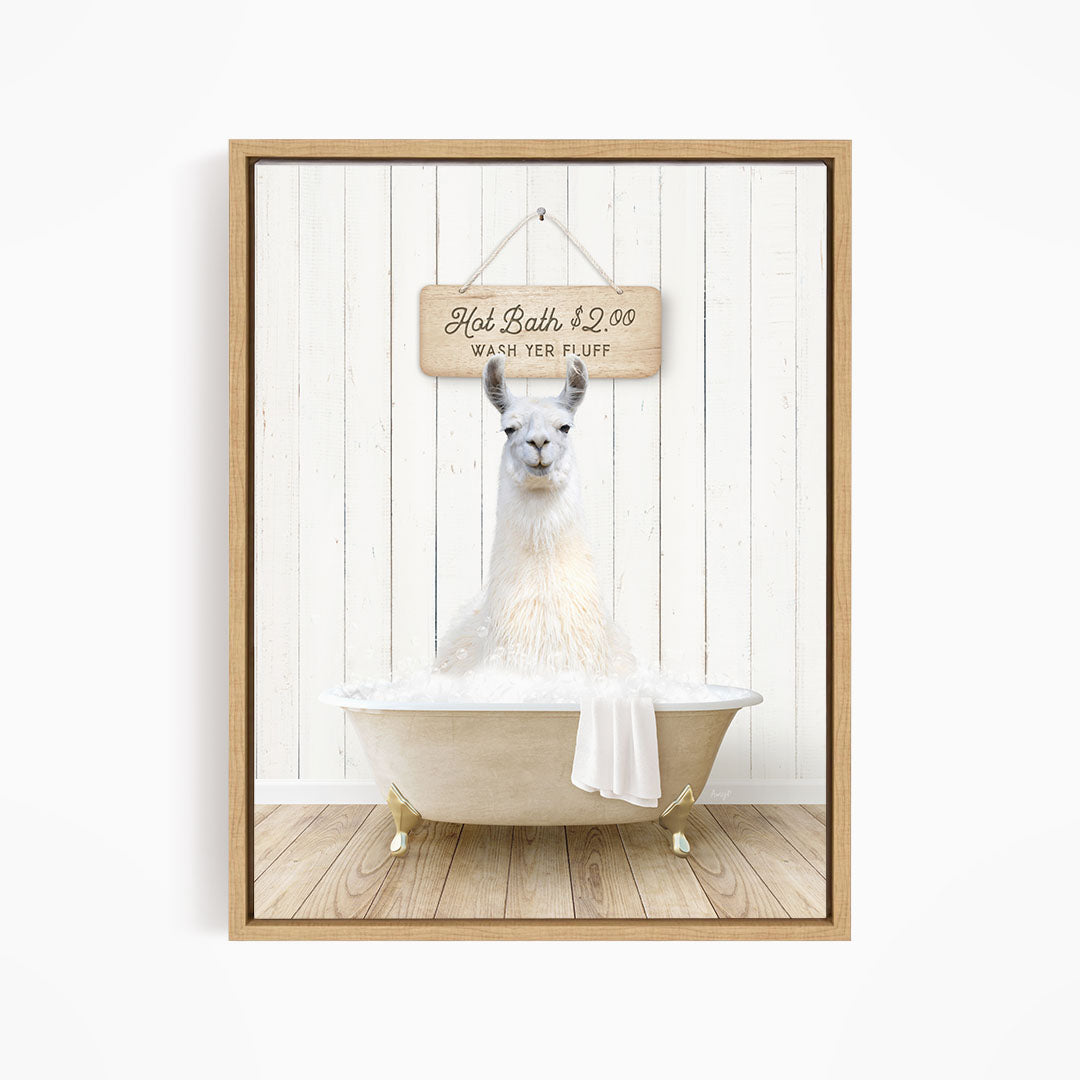 A white llama sitting in a white bathtub, with a wooden sign above it that reads "Hot Bath $2.00 Warm Yer Fluff".