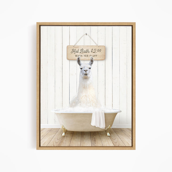 A white llama sitting in a white bathtub, with a wooden sign above it that reads "Hot Bath $2.00 Warm Yer Fluff".