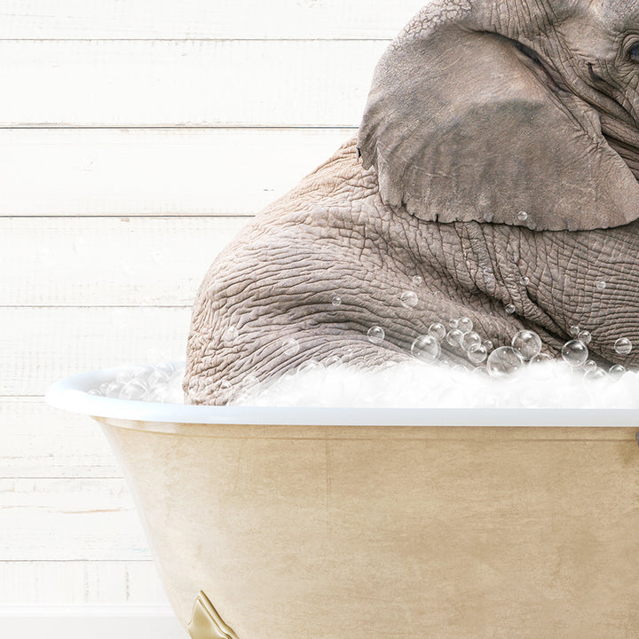 a baby elephant is taking a bath in a bathtub