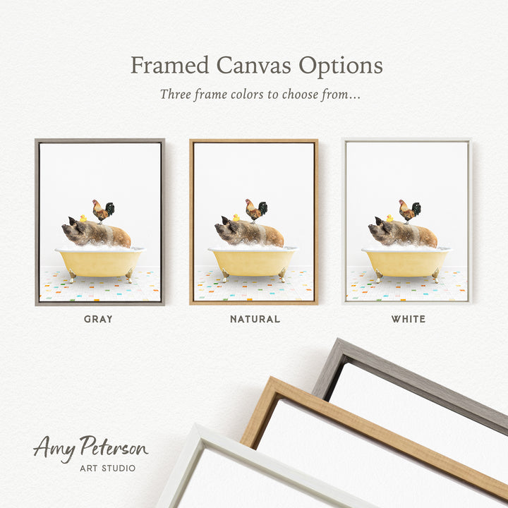 three framed canvas options, each featuring a different color: gray, natural, and white. The text above the images reads " Framed Canvas Options" and "Three frame colors to choose from...". The bottom of the image includes the text " Amy Peterson ART STUDIO".
