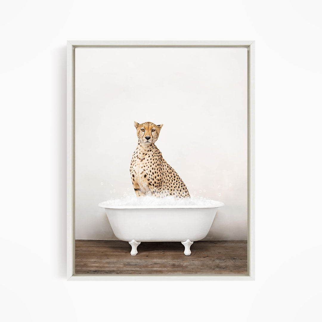A cheetah sitting in a white bathtub filled with water.