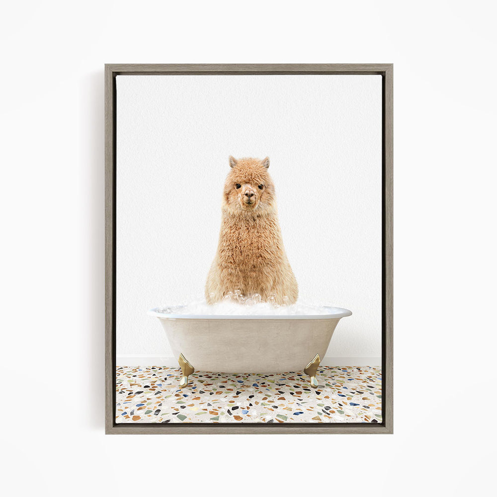 A fluffy brown dog sitting in a white bathtub filled with bubbles, looking directly at the camera.