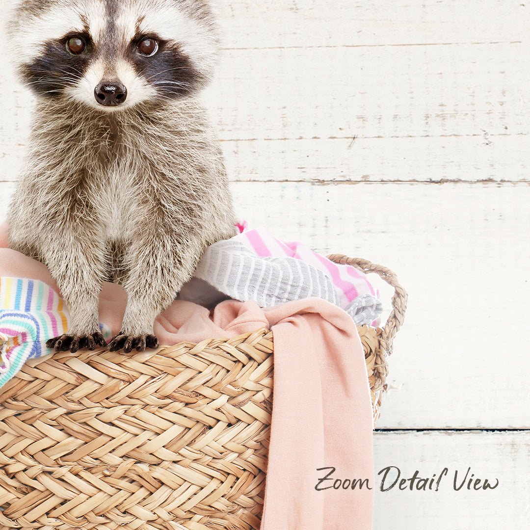 A raccoon sitting on a woven basket filled with clothes.