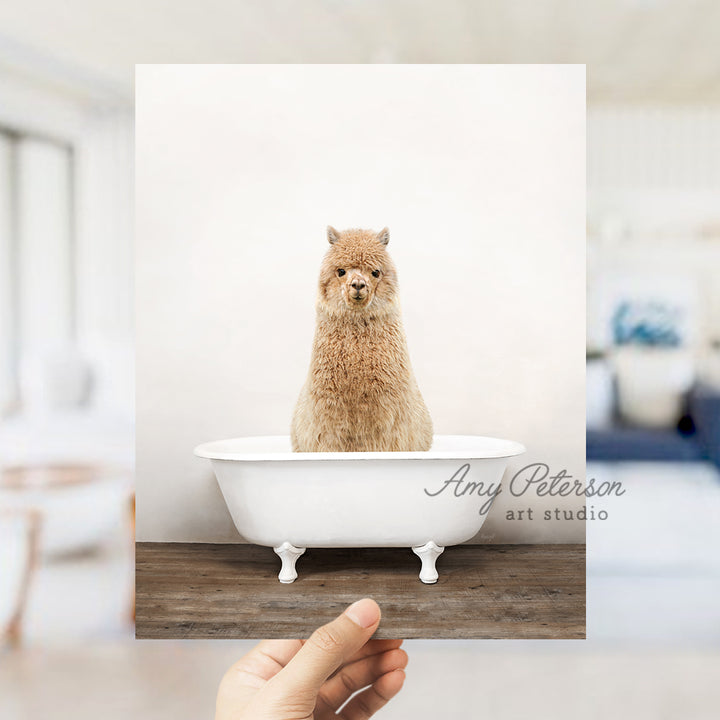 a hand holding a photo of a dog in a bathtub