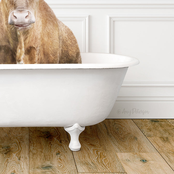 A cow is sitting inside a white bathtub, creating a whimsical and unexpected scene.