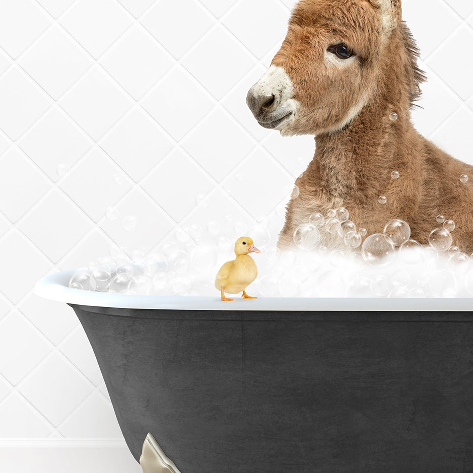 a baby donkey in a bathtub with bubbles and a rubber duck