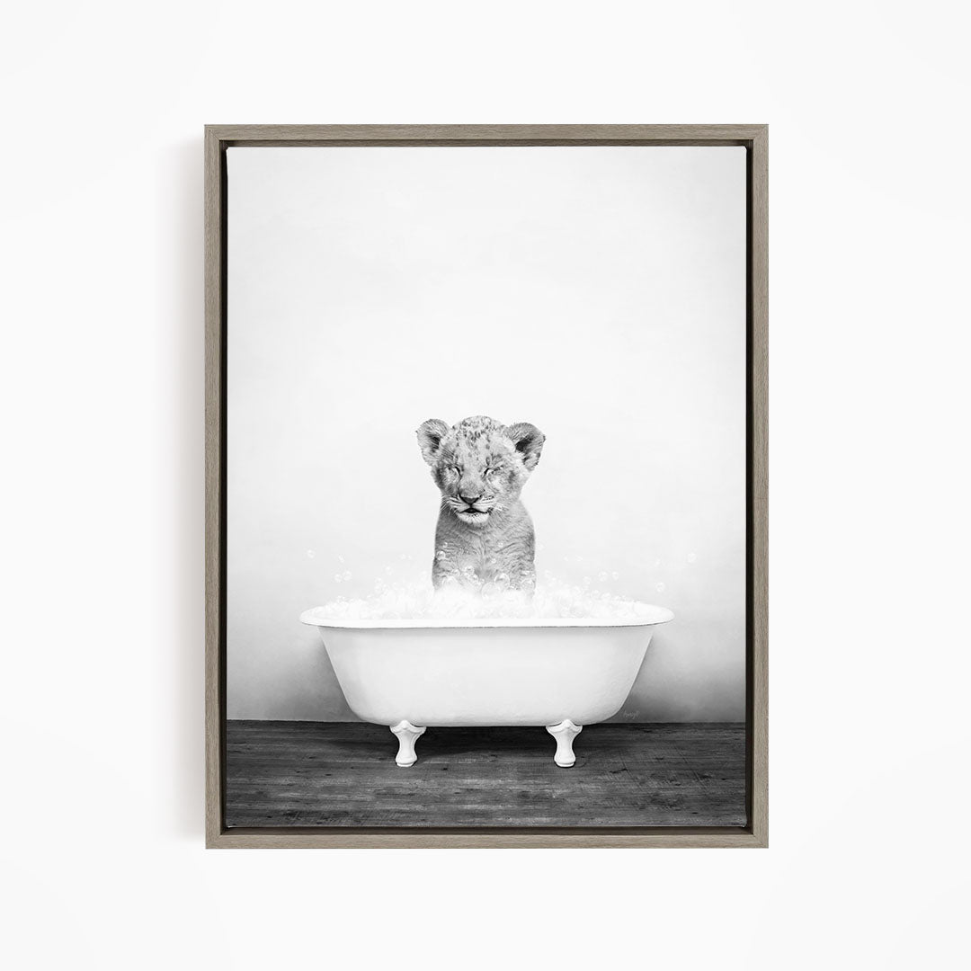 A young lion cub sitting in a white bathtub filled with water, looking directly at the camera.