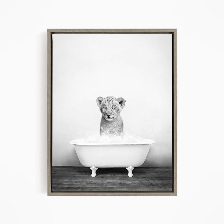 A young lion cub sitting in a white bathtub filled with water, looking directly at the camera.