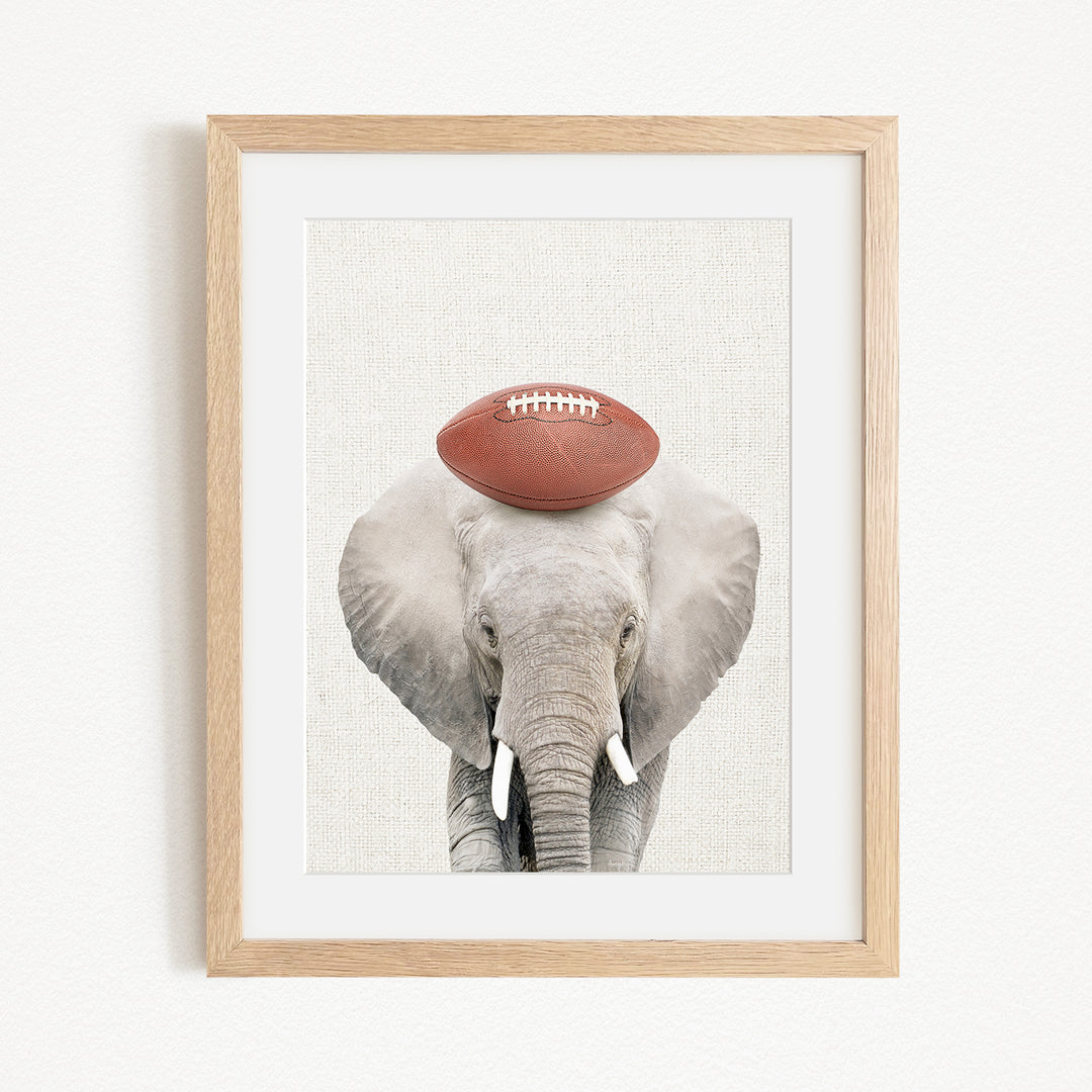 A framed image of an elephant holding a football on its head.
