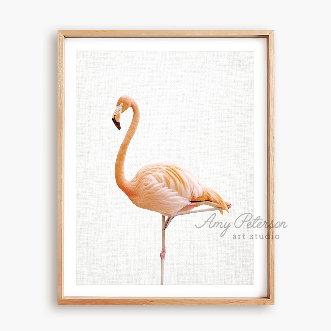 a picture of a pink flamingo in a wooden frame