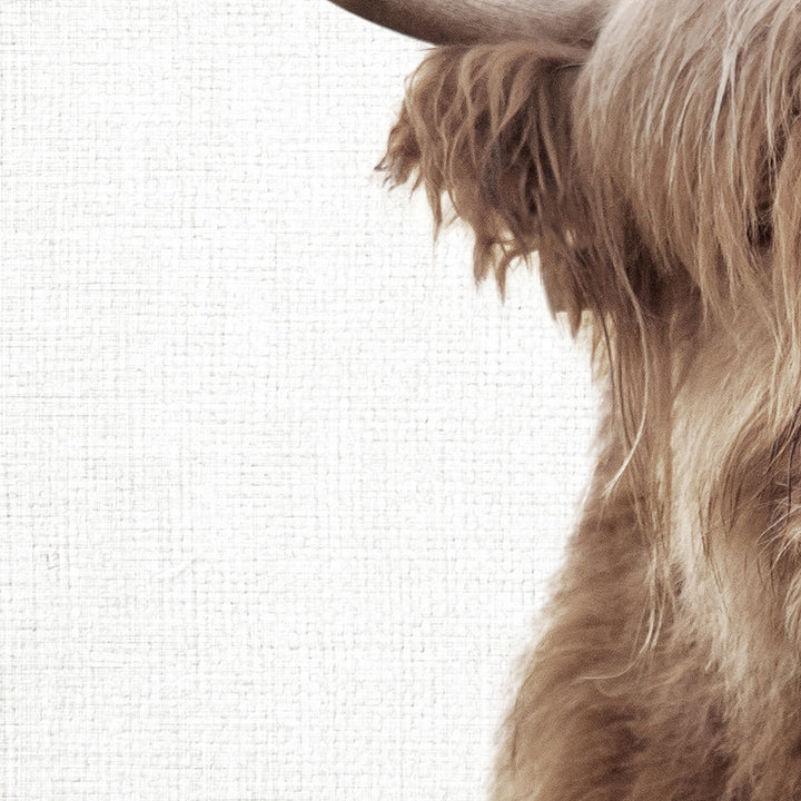 a close up of a furry animal with long hair