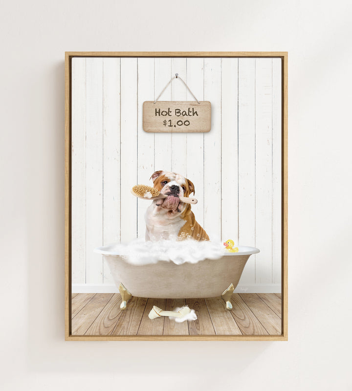 A brown and white bulldog sitting in a white bathtub, holding a yellow rubber duck, with a wooden sign above that says "Hot Bath $1.00".