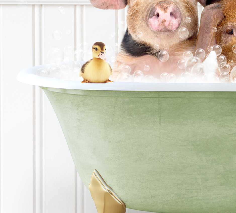 two dogs in a bathtub with bubbles and a rubber duck