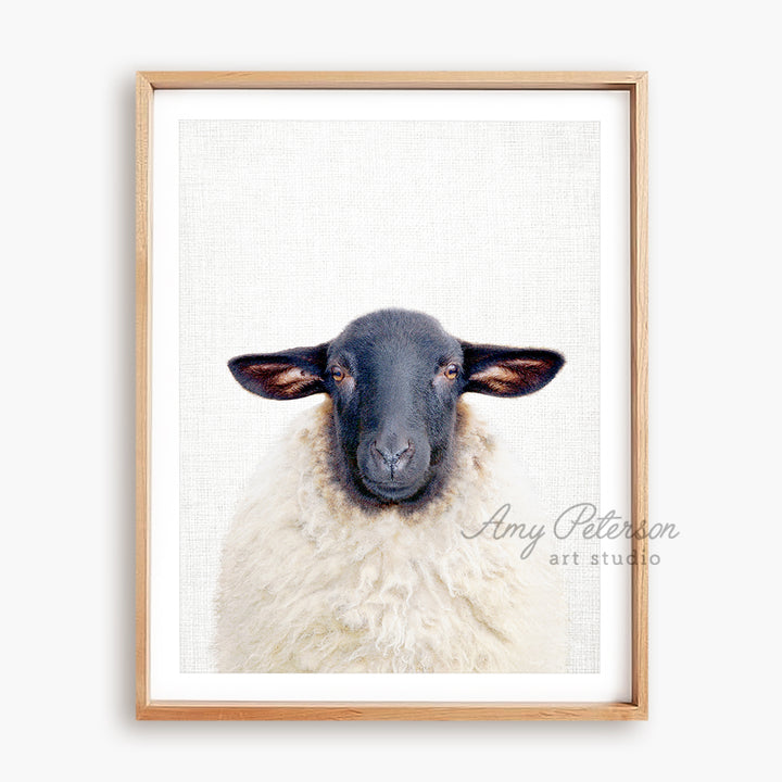 a picture of a black faced sheep in a wooden frame