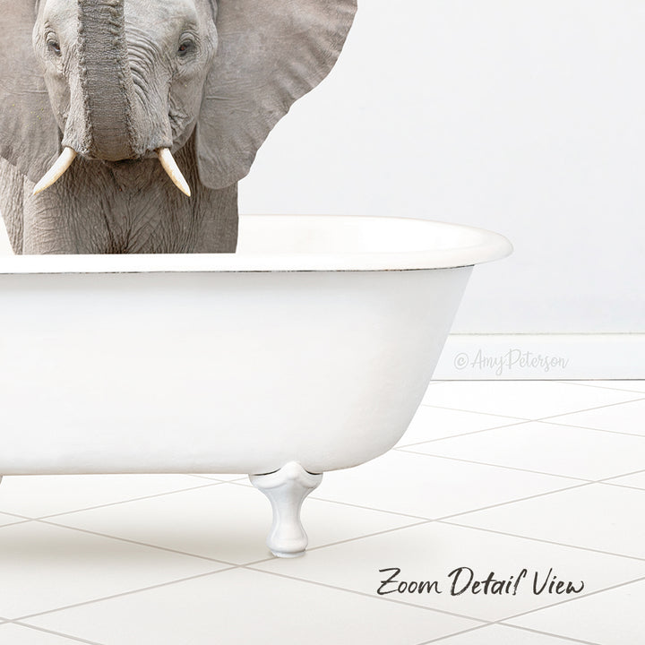 A gray elephant is sitting in a white bathtub, with its trunk raised and tusks visible.