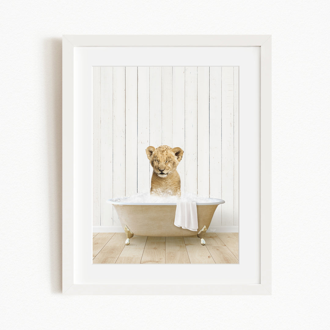 A young lion cub sitting in a bathtub filled with water, looking directly at the camera.