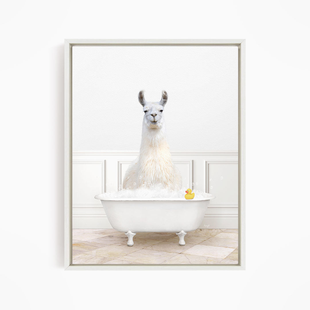 A white llama sitting in a white bathtub, with a rubber duck floating in the water.