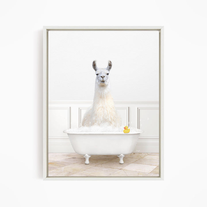 A white llama sitting in a white bathtub, with a rubber duck floating in the water.
