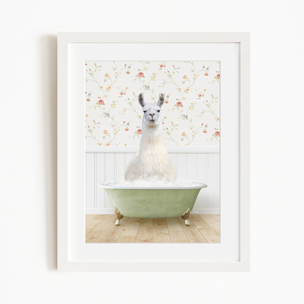 A white llama sitting in a green bathtub filled with bubbles, with a floral wallpaper in the background.