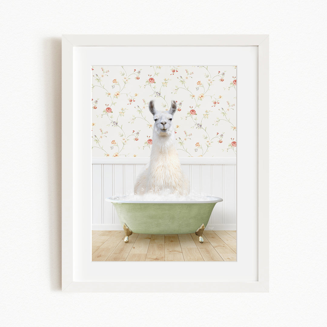 A white llama sitting in a green bathtub filled with bubbles, with a floral wallpaper in the background.