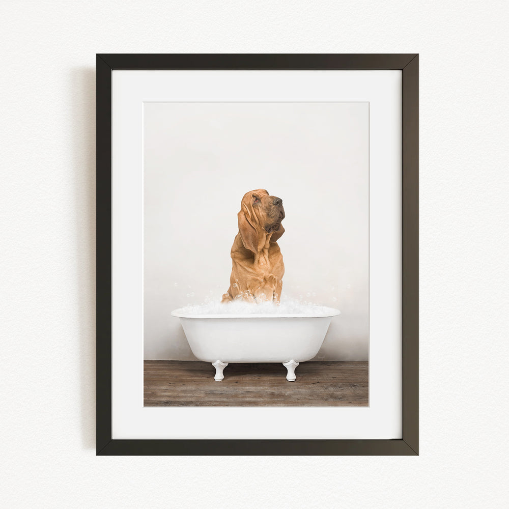A brown dog standing in a white bathtub filled with water, looking up at the camera.