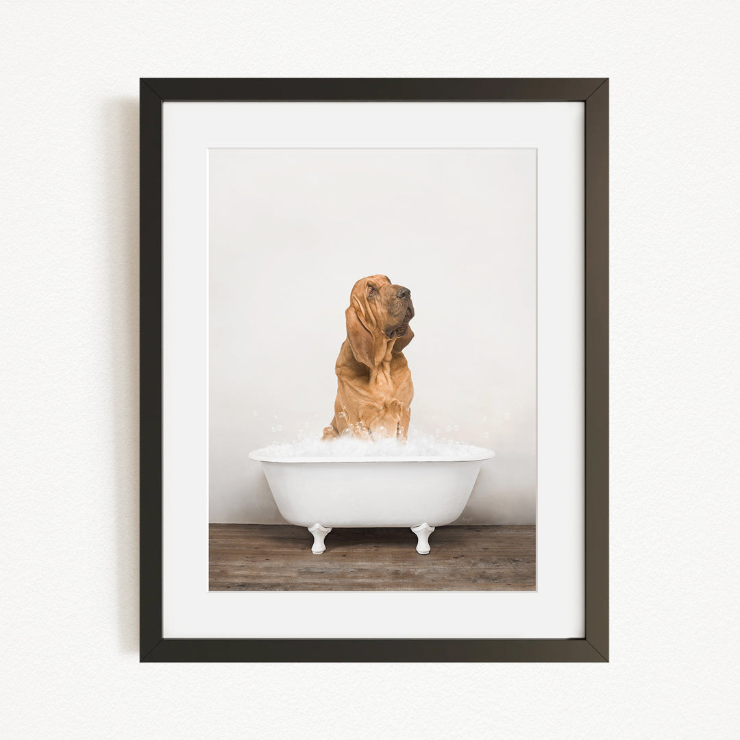 A brown dog standing in a white bathtub filled with water, looking up at the camera.