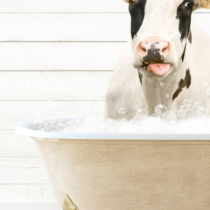 a cow sticking its tongue out in a bathtub