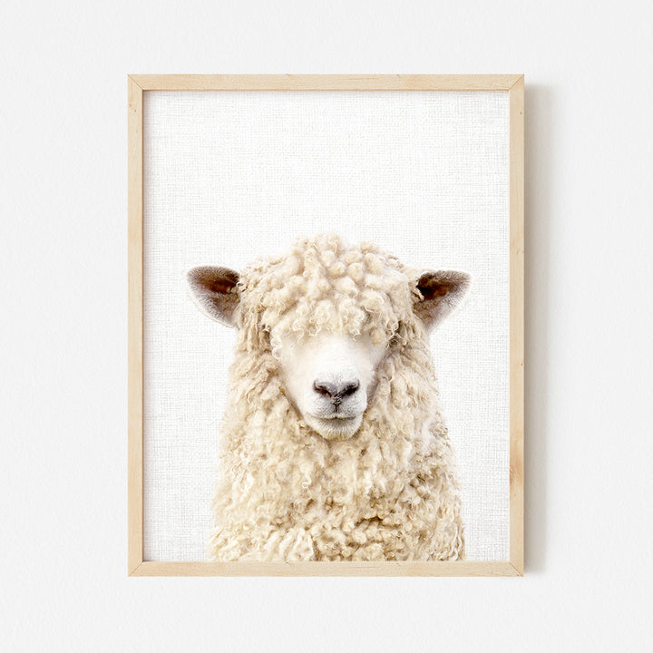 a picture of a sheep in a wooden frame