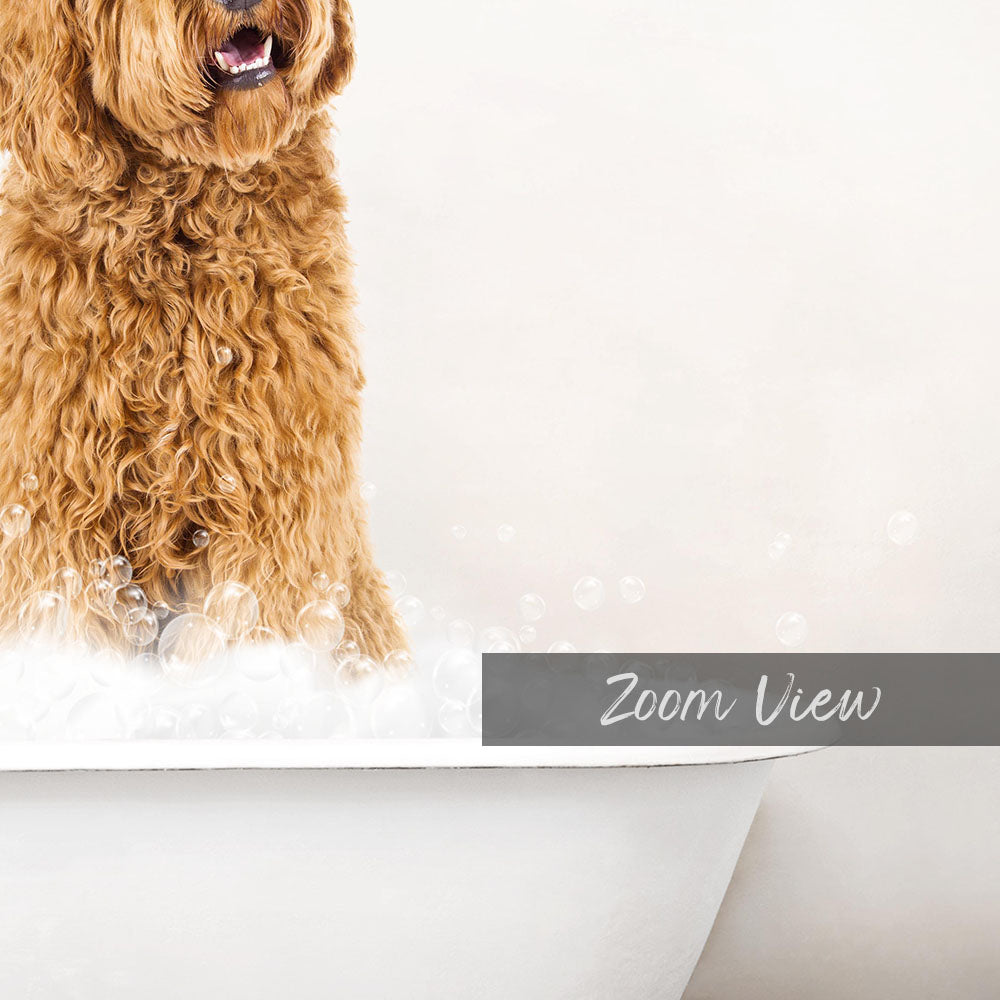 A fluffy brown dog standing in a bathtub filled with bubbles, with the text "Zoom View" displayed on the side of the tub.