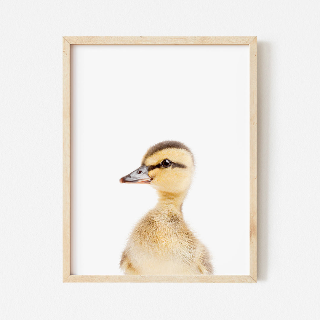 a picture of a duck in a wooden frame