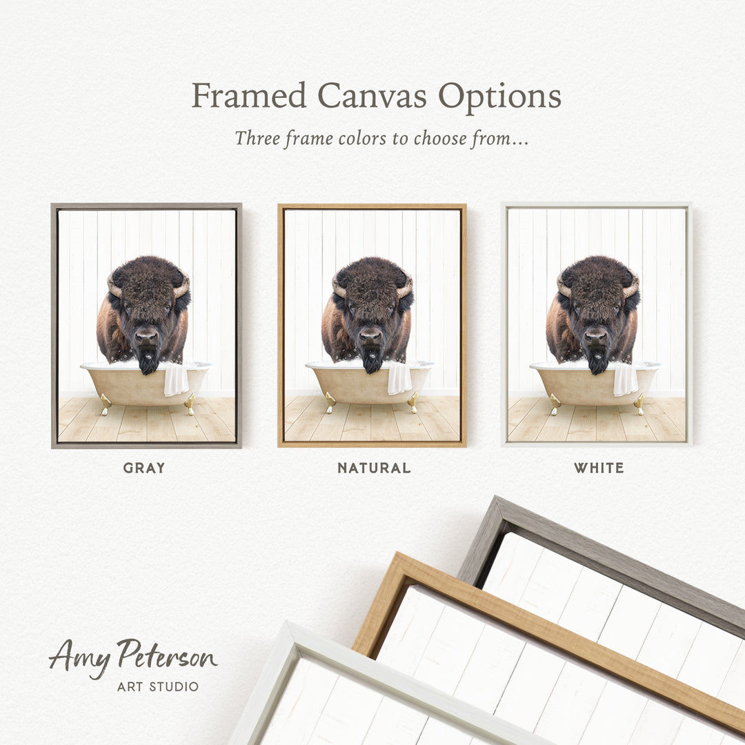 three framed canvas options, each featuring a bison in a bathtub. The options include a gray frame, a natural frame, and a white frame.