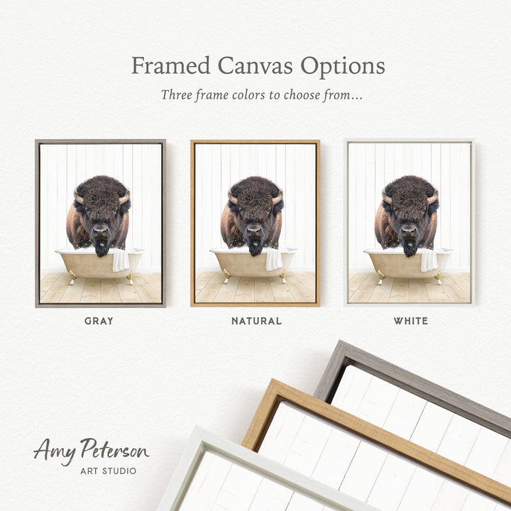three framed canvas options, each featuring a bison in a bathtub. The options include a gray frame, a natural frame, and a white frame.