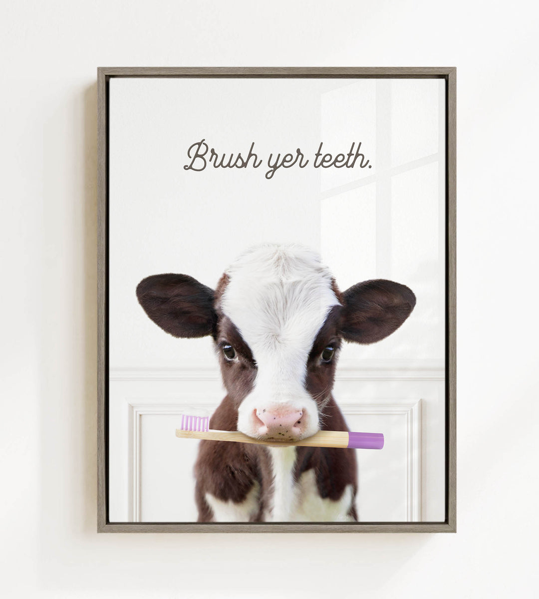 A cute brown and white calf holding a purple toothbrush in its mouth, with the text "Brush yer teeth" above it.