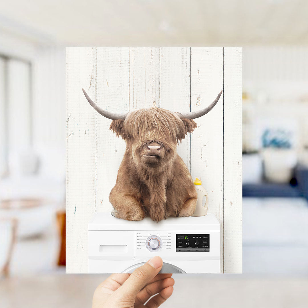 A hand holds up a framed image of a Highland cow with large horns, positioned above a white washing machine.