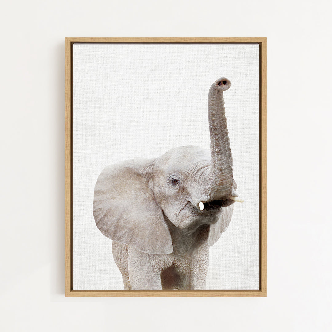 A framed photograph of a young elephant with its trunk raised, standing against a plain white background.