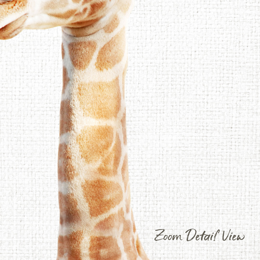 A close-up view of a giraffe's neck and head, showcasing its distinctive spotted pattern against a plain white background.