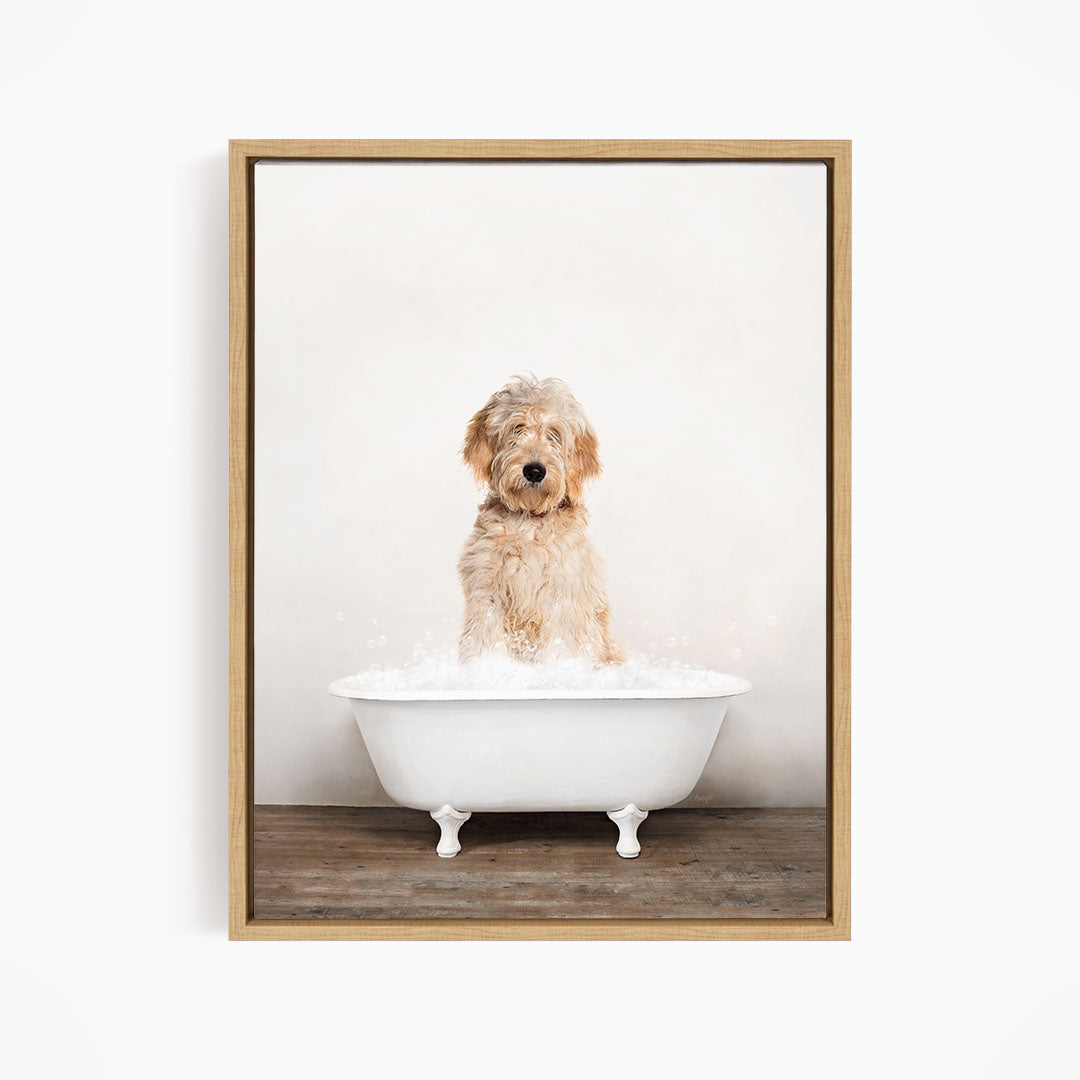 A fluffy golden retriever dog sitting in a white bathtub filled with water, looking directly at the camera.